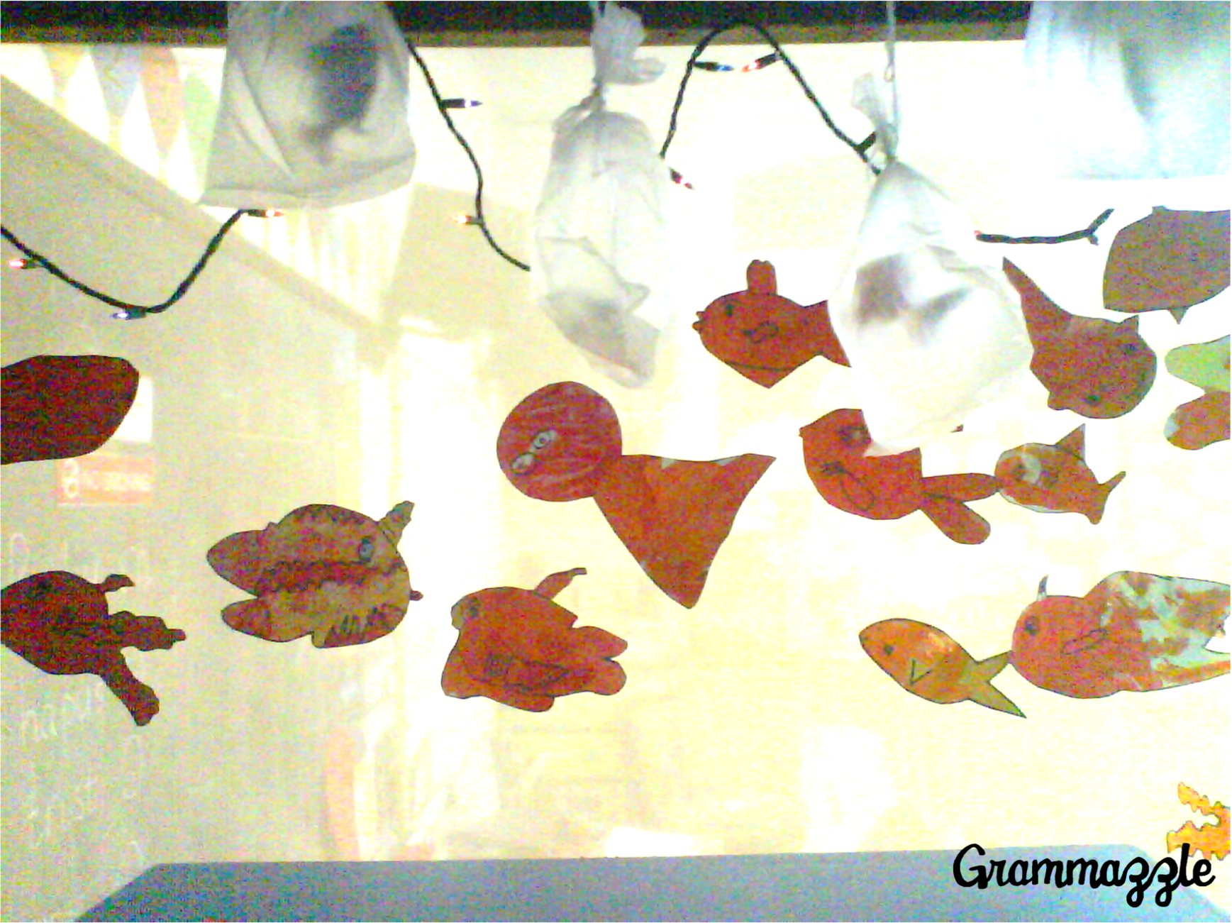 Grammazzle Ferias Peces Goldfish