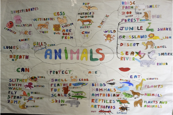 ABP sobre animales usando las TAC - Grammazzle